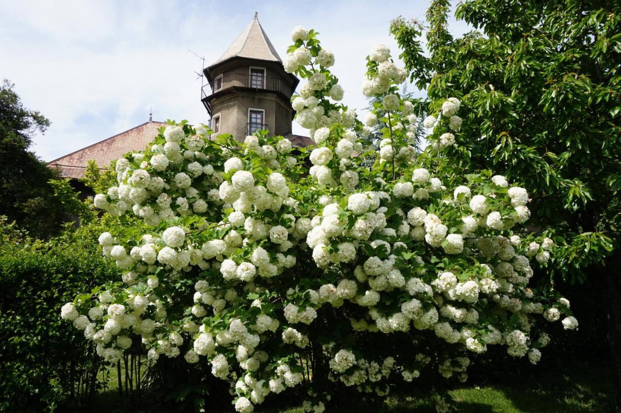 Chateau Du Vigny - Maison D'Hotes 圣米歇尔－德莫里耶讷 外观 照片